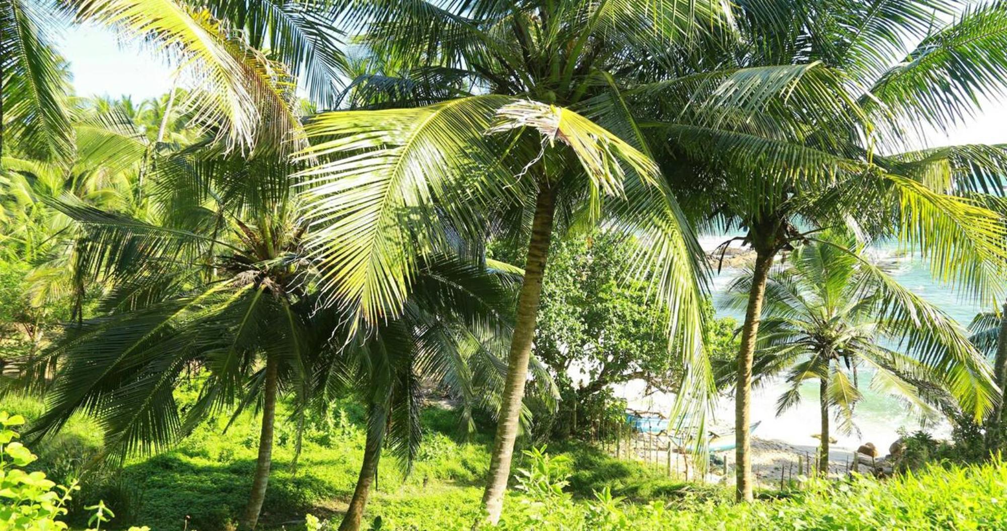 Bluewind Resort Tangalle Luaran gambar